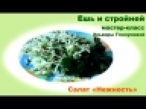 Салат кабачок и капуста кольраби рецепт 