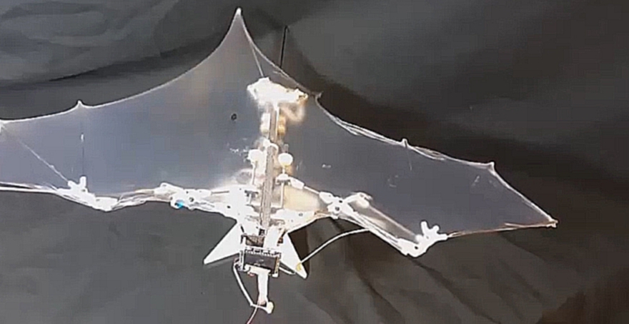 Летающий робот имитирует летучую мышь  - видеоклип на песню