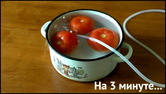 озонатор гроза томаты помидоры 