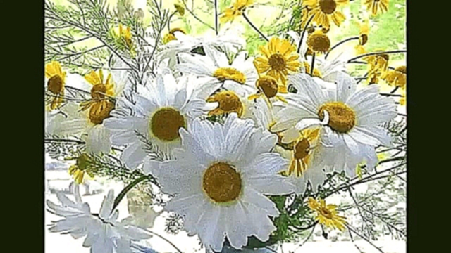 Суручану Ион Дарите женщинам цветы - видеоклип на песню