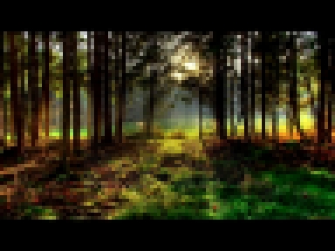 Канарейка и лес Пение кенара в живом лесу Звуки природы Пение канарейки - видеоклип на песню