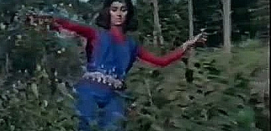 Долгожданная весна / Aaye Din Bahar Ke (1966) - видеоклип на песню