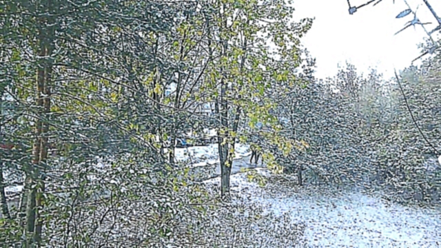 Желтый клен в снегу Тает снег на солнце 09 10 2015 - видеоклип на песню
