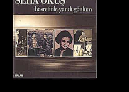 Hasretinle Yandı Gönlüm - Seha Okuş - видеоклип на песню