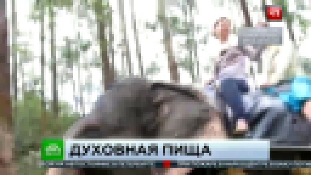 В Новосибирске выясняют обстоятельства голодной смерти «ученицы» секты Саи Бабы - видеоклип на песню