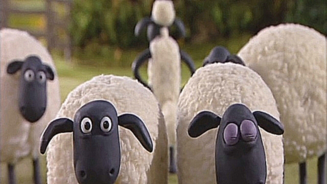 Барашек Шон / Shaun the Sheep: серия 2. Тарелочка (Fetching) - видеоклип на песню