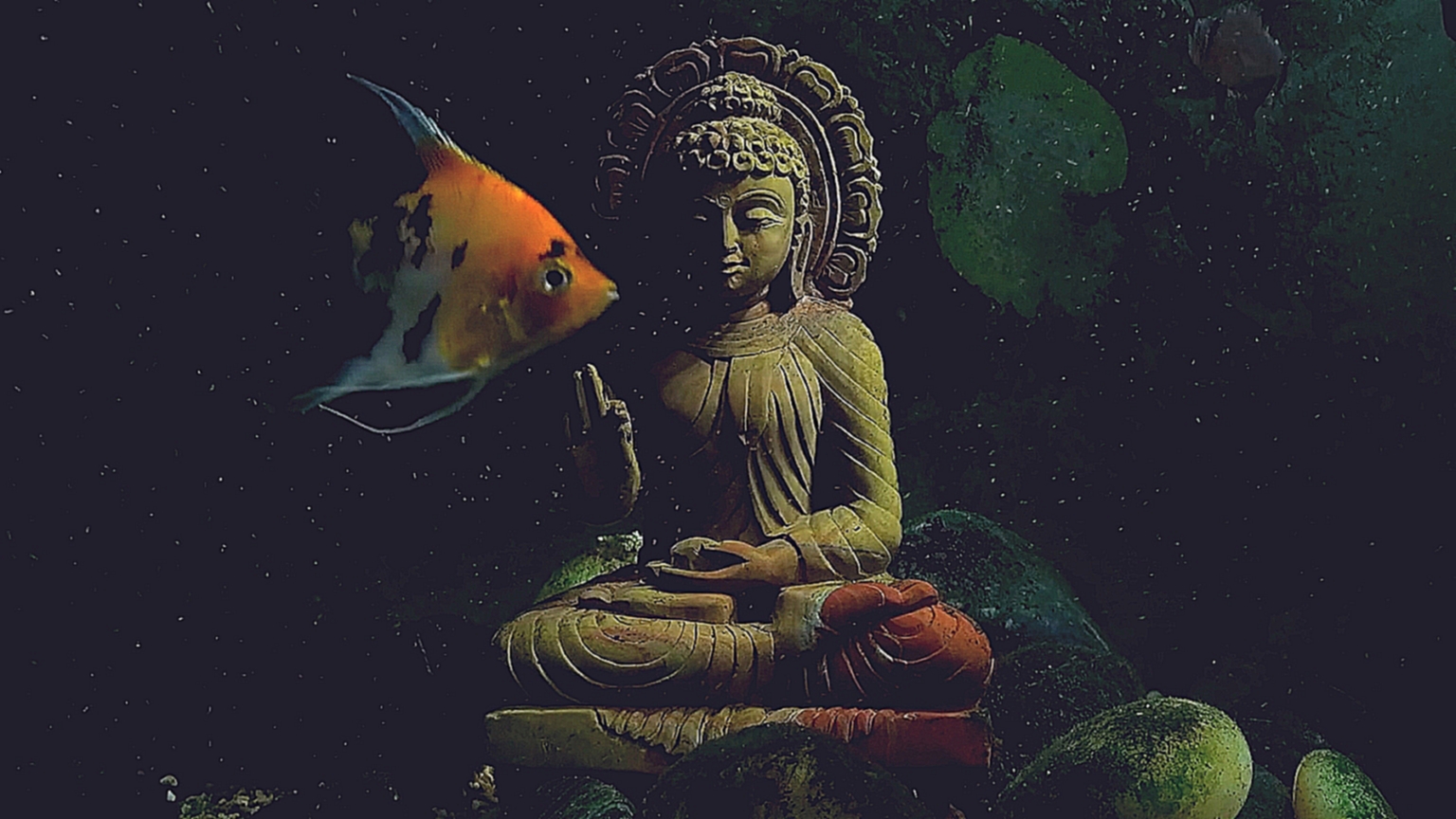 Будда Вода (Buddha bar lounge chillout  relax music  remix meditation) - видеоклип на песню