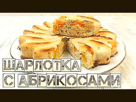 <span aria-label="&#x428;&#x430;&#x440;&#x43B;&#x43E;&#x442;&#x43A;&#x430; &#x441; &#x430;&#x431;&#x440;&#x438;&#x43A;&#x43E;&#x441;&#x430;&#x43C;&#x438; | &#x41F;&#x41F; 