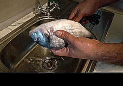 Как правильно чистить рыбу дорадо! РЕЦЕПТЫ ТУНИСА ВЫПУСК ШЕСТОЙ 