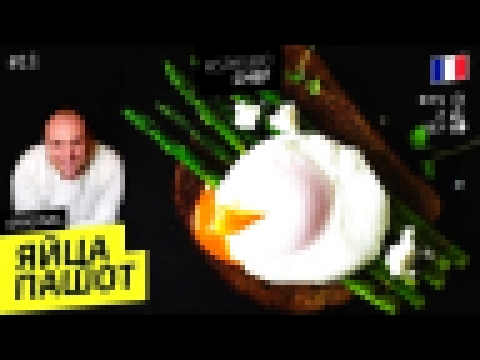 ЯЙЦА ПАШОТ #11 готовьте яйца под юбкой Илья ЛАЗЕРСОН  
