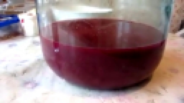 Рецепт виноградного самогона. Делаем Чачу 