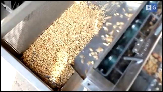 Шелушильная машина для арахиса сухой метод DTD-T120 