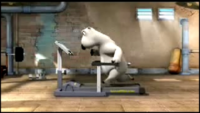 Медведь Бернард и беговая дорожка - видеоклип на песню