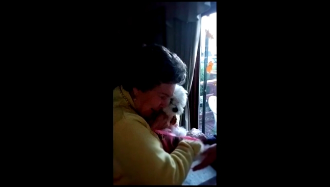 Бабушке подарили щенка - видеоклип на песню