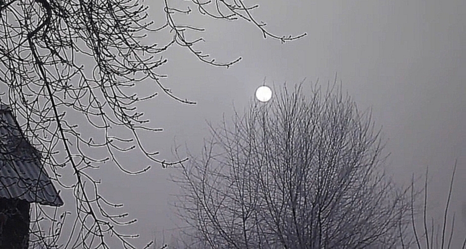 Утро иней и мороз Солнце белый блин 16 01 2015 