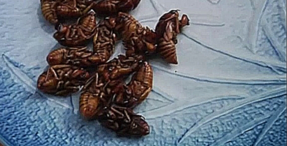 Японцы смакуют насекомых под разными соусами 