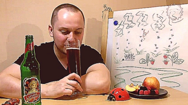 Чешская Чертовка с ягодами. Дегустация пива 