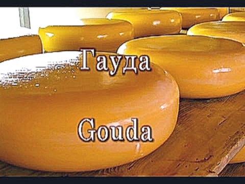 Готовим твердый сыр классический рецепт Гауда 
