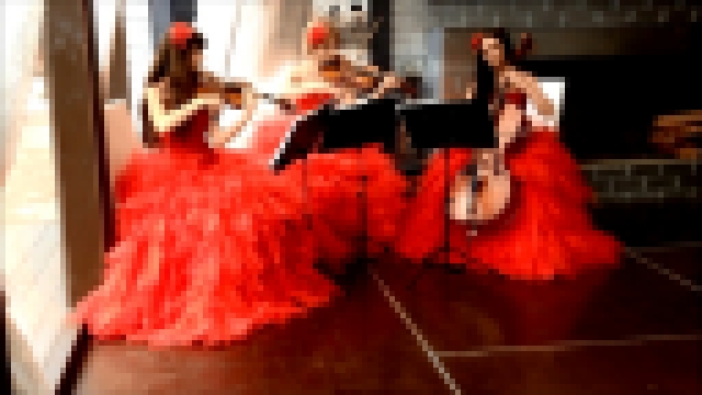 Щелкунчик (П.И.Чайковский) - струнное трио Violin Group DOLLS, фоновая музыка - видеоклип на песню