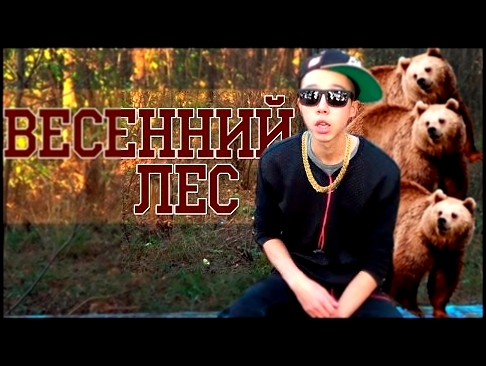 ВЕСЕННИЙ ЛЕС - видеоклип на песню