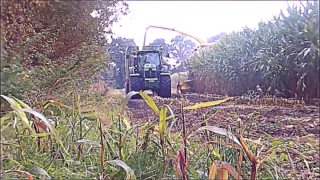   Уборка кукурузы на силос 2017 