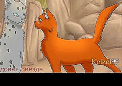 Коты воители Белка и Ежевика-Слеза(перезалив) - видеоклип на песню