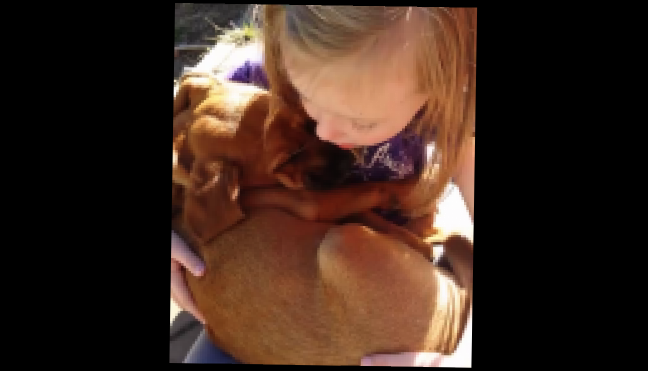 Девочка спела колыбельную собаке из приюта - видеоклип на песню