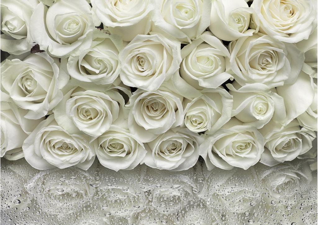 Белые розы(минус) электронная тоже класс Белые розы(минус) электронная тоже класс