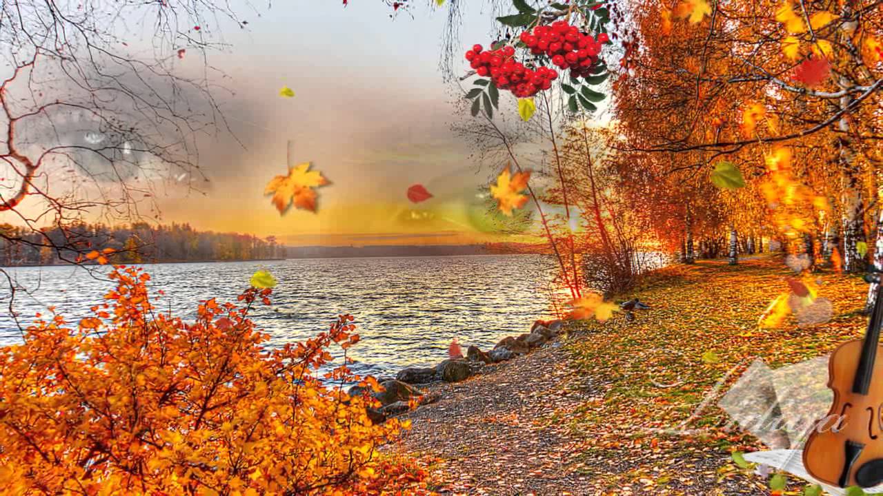 Бока Осенняя роса