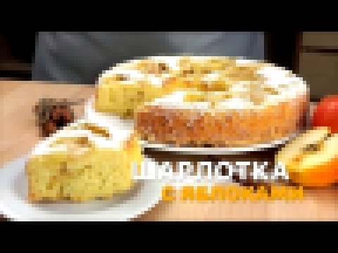 Самая пышная шарлотка пирог с яблоками в духовке простой и вкусный пошаговый видео рецепт 