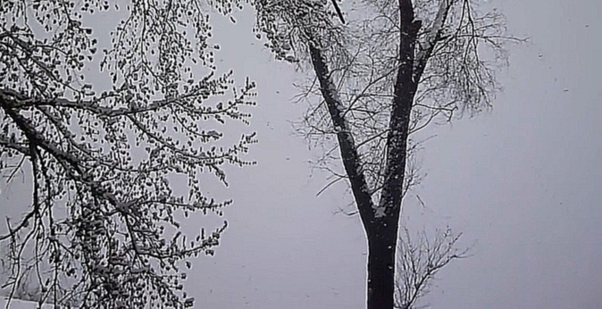Snow in March Опять и Снова Зима в конце Марта 30 03 2015 