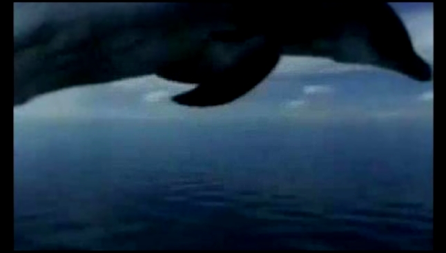Шахзода-Тёмное море - видеоклип на песню