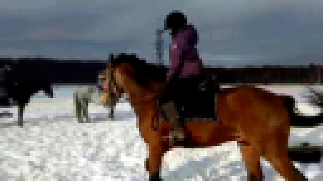 Конь в детский спорт (552-1) - видеоклип на песню