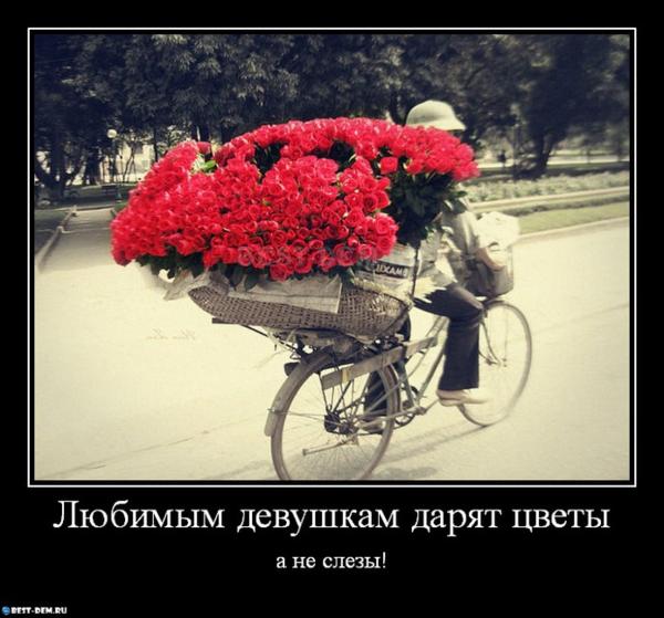 Daniko Дарите женщинам цветы