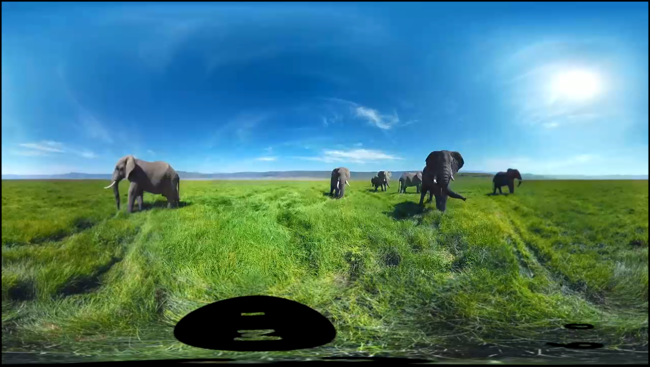 Слоны в 360 