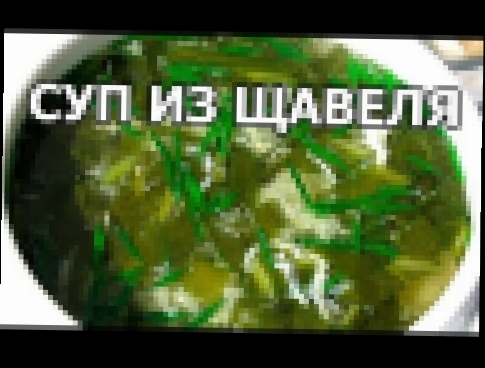 Суп из щавеля. Необычный суп со щавелем с мясом! 