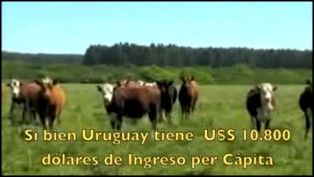 Уругвай. Самое экологически чистое место на планете. - видеоклип на песню
