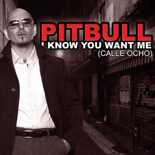 Pit bull I know you want meat
