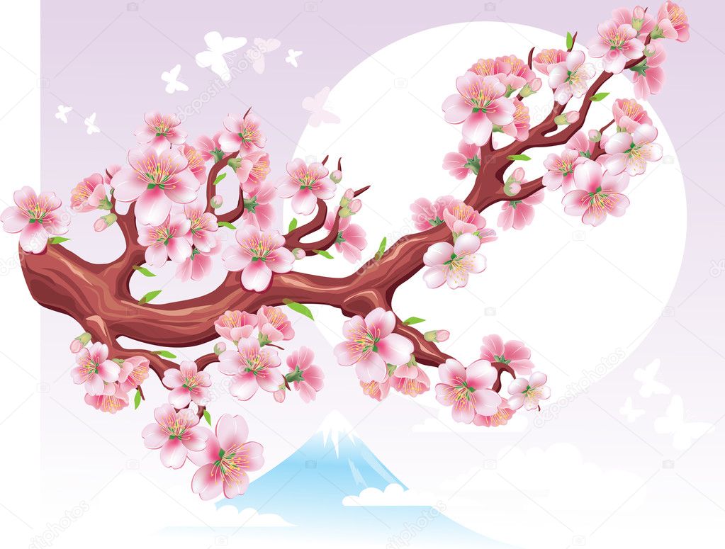 tokitami Я покажу тебе как цветет сакура