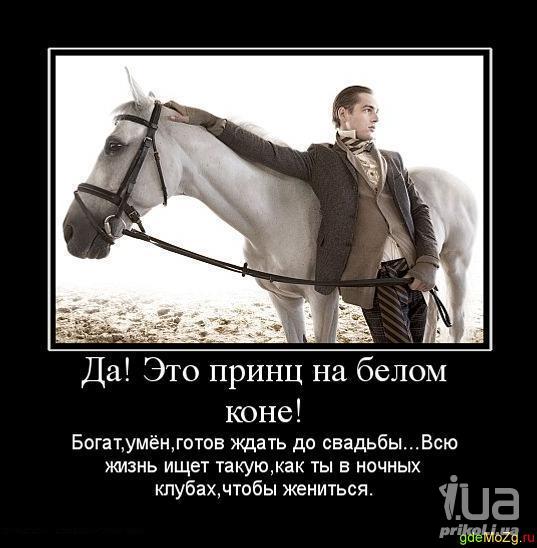 ZOOBE и Н. Басков МИКС-485 (Алексей А.) Принц на белом коне